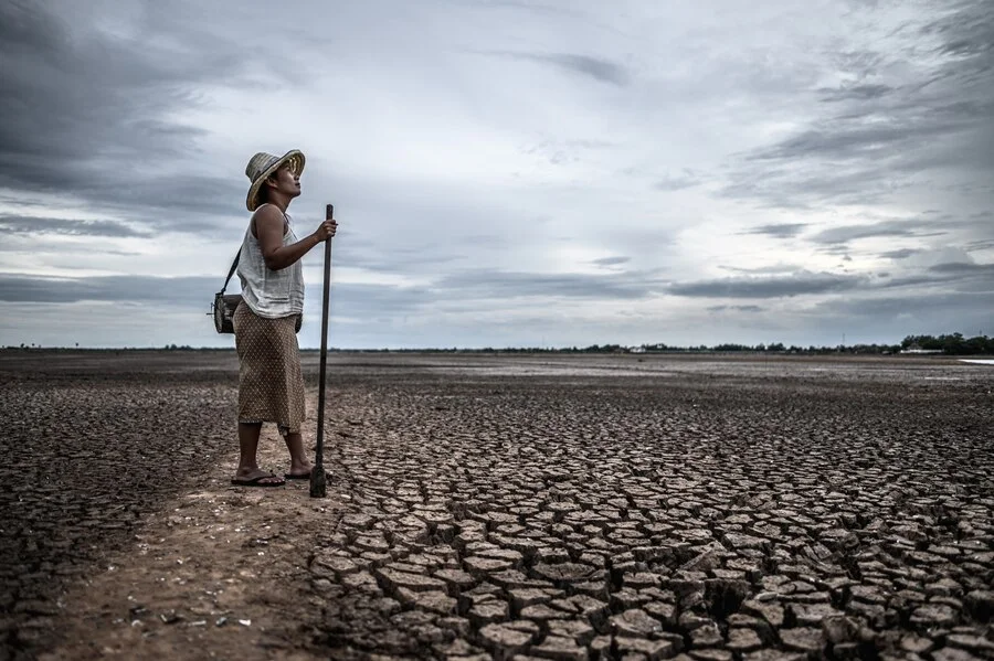 The Environmental Impact of Your Diet